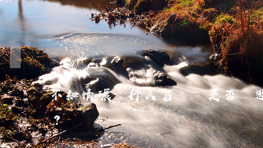 不知情碾壓行人后駛離 是否屬逃逸？